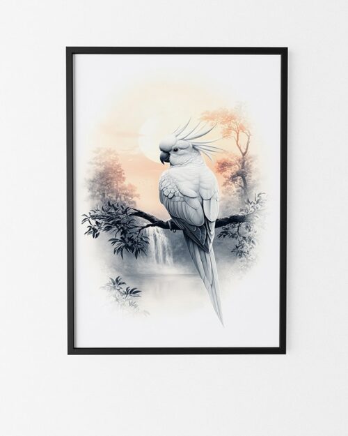 affiche cacatoes