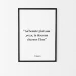 affiche citation voltaire poster inspiration