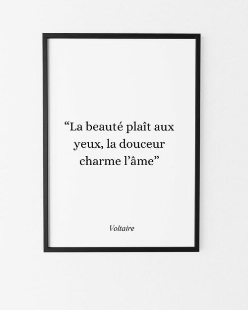 affiche citation voltaire poster inspiration