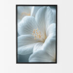 affiche fleurs blanches poster nature