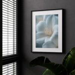 affiche fleurs poster nature botanique