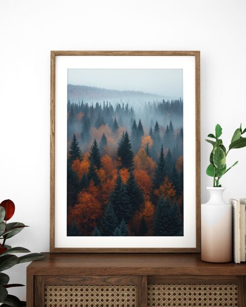 affiche forêt automne poster nature