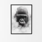 affiche gorille noir et blanc