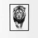 affiche lion noir et blanc tableau mural