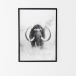 affiche mammouth noir et blanc poster