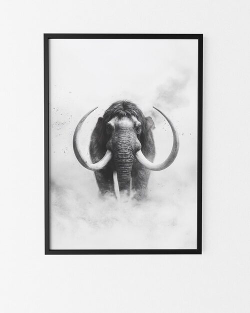 affiche mammouth noir et blanc poster