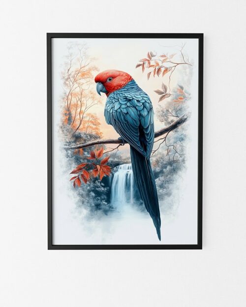 affiche perroquet poster animalier