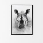 affiche rhinocéros style noir et blanc