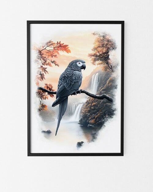 cadre gris du gabon perroquet affiche