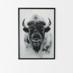 cadre noir bison affiche murale