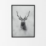 cadre noir cerf brume poster