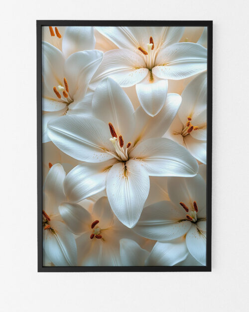 poster fleurs affiche botanique cadre