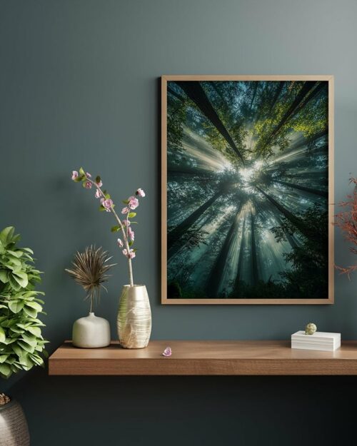 poster paysage affiche forêt nature
