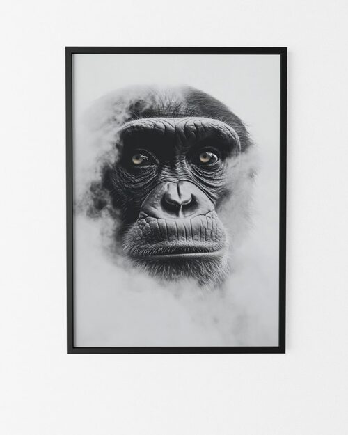 poster singe style noir et blanc minimaliste