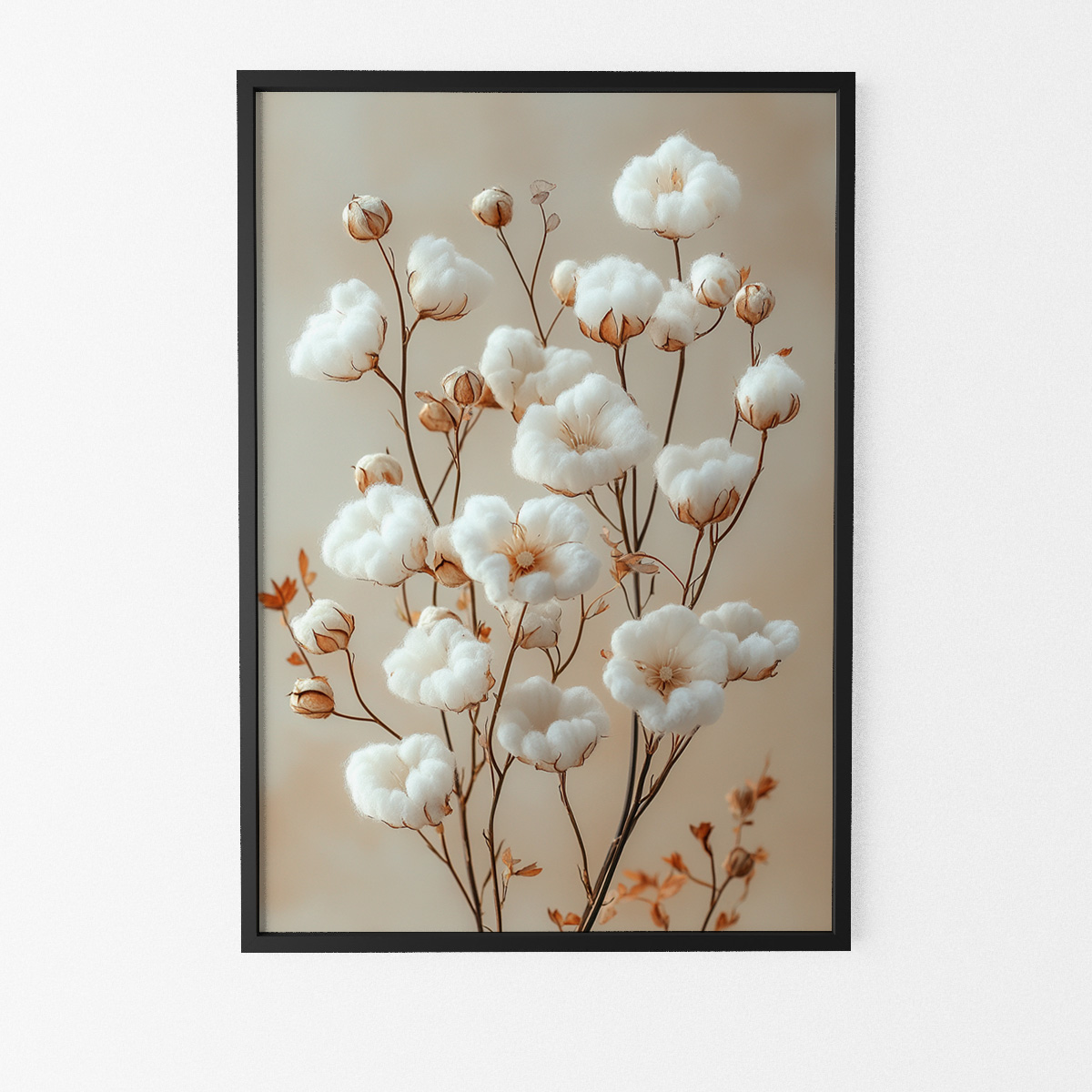 Affiche fleurs de coton